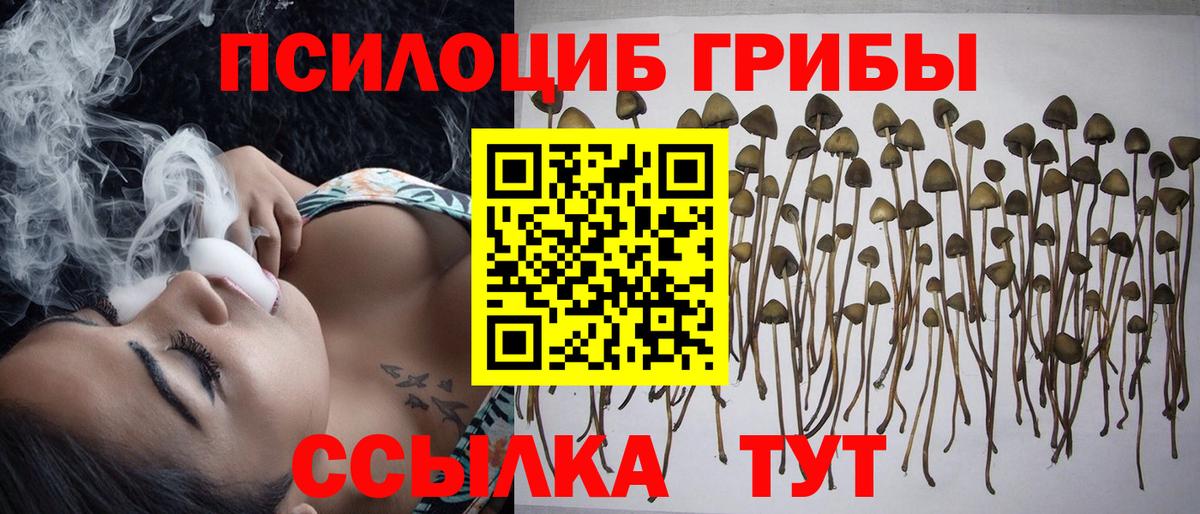 Галлюциногенные грибы Psilocybe  Вход с VPN  Галлюциногенные грибы мицелий  Михайловка 